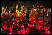 Ethel M Cactus Gardens are open year round, here decorated with 750,000 lights for the annual holiday display.